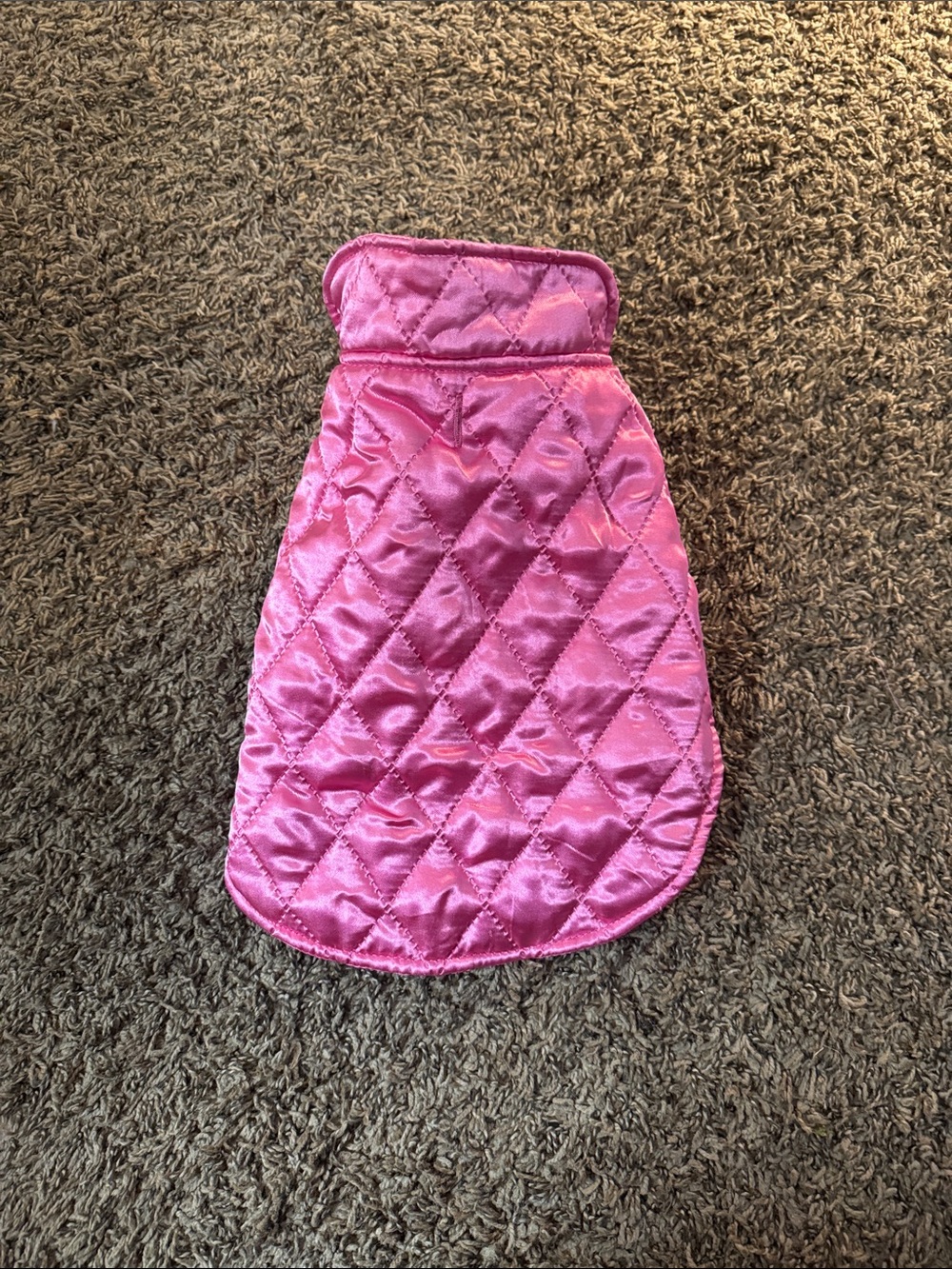 Cute jacket for your diva dog